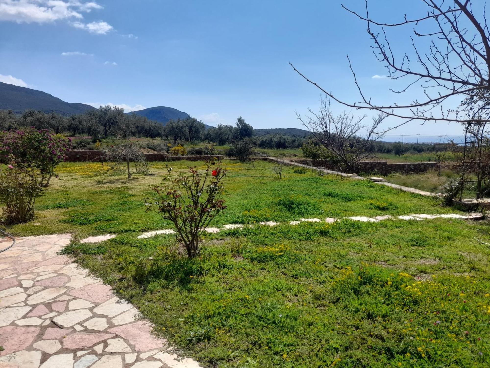 Villa “villa Othon-leni”