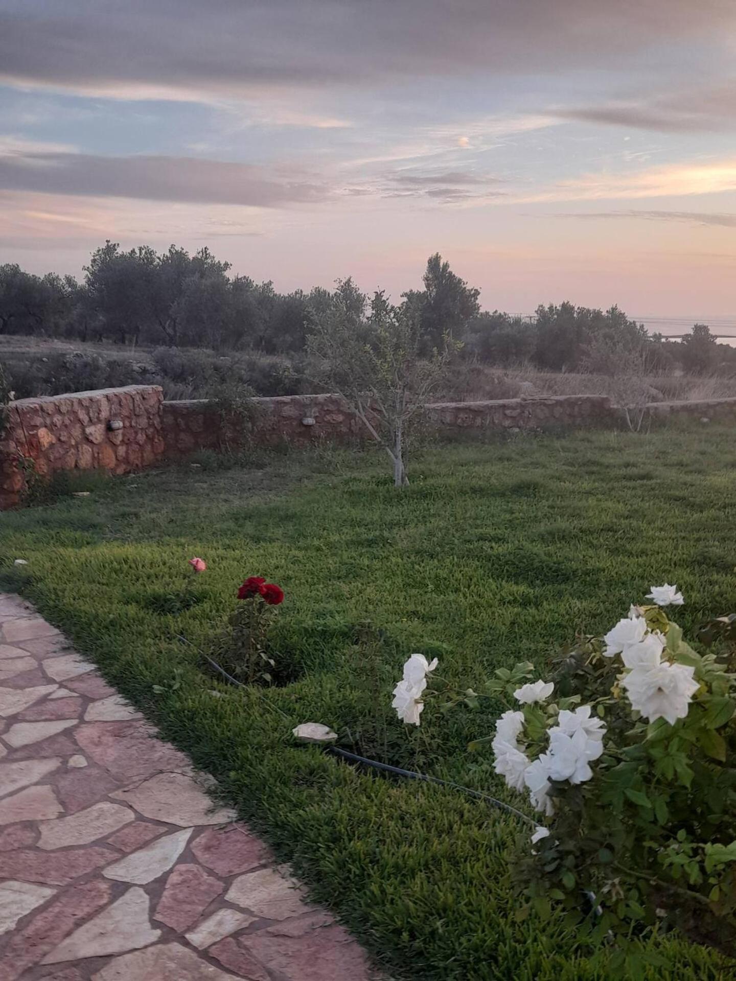 “villa Othon-leni” * Paralia Demonias